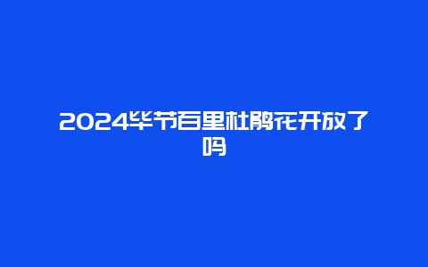 2024毕节百里杜鹃花开放了吗