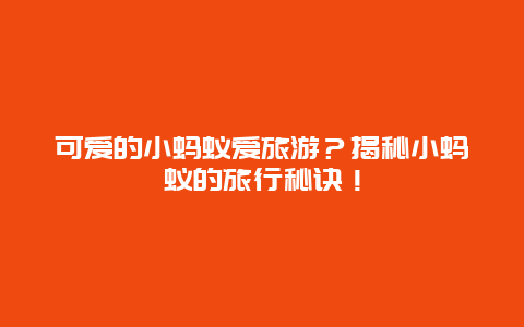 可爱的小蚂蚁爱旅游？揭秘小蚂蚁的旅行秘诀！