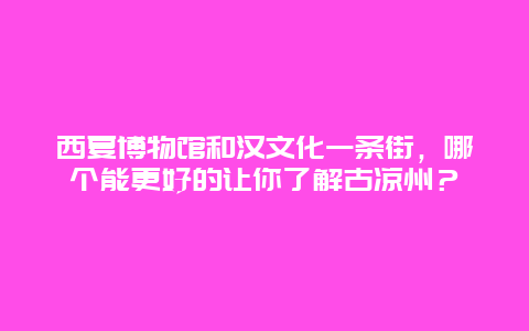 西夏博物馆和汉文化一条街，哪个能更好的让你了解古凉州？