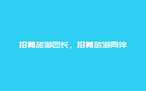 招募旅游团长，招募旅游同伴