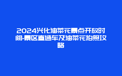 2024兴化油菜花景点开放时间-景区直通车及油菜花拍照攻略