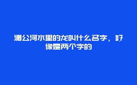 湄公河水里的龙叫什么名字，好像是两个字的