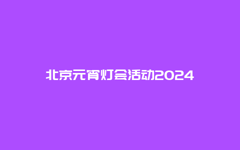 北京元宵灯会活动2024