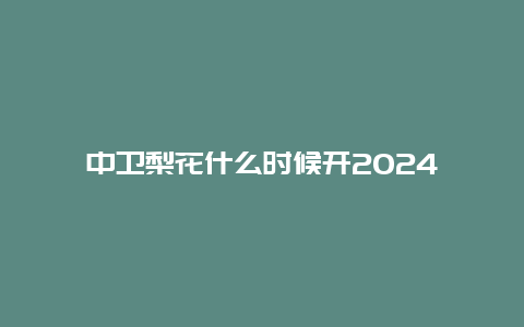 中卫梨花什么时候开2024