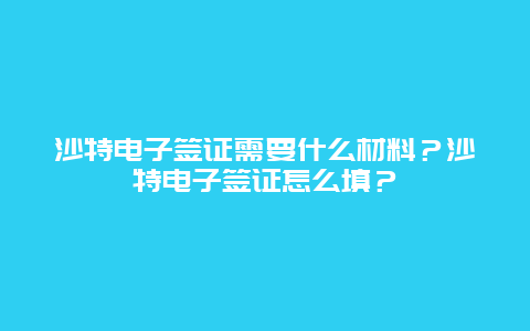 沙特电子签证需要什么材料？沙特电子签证怎么填？