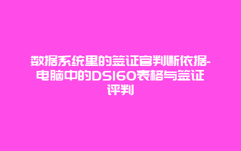 数据系统里的签证官判断依据-电脑中的DS160表格与签证评判