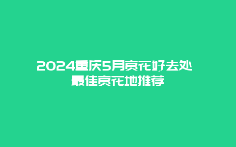 2024重庆5月赏花好去处 最佳赏花地推荐