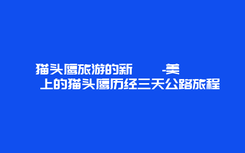 猫头鹰旅游的新選擇-美國聖誕樹上的猫头鹰历经三天公路旅程