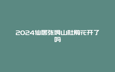 2024仙居张姆山杜鹃花开了吗