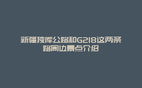 新疆独库公路和G218这两条路周边景点介绍