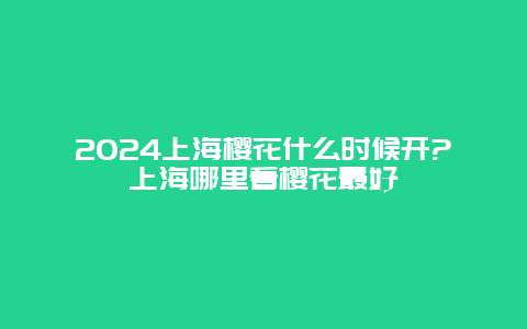 2024上海樱花什么时候开?上海哪里看樱花最好