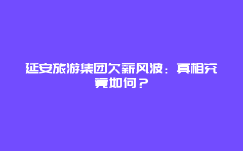 延安旅游集团欠薪风波：真相究竟如何？