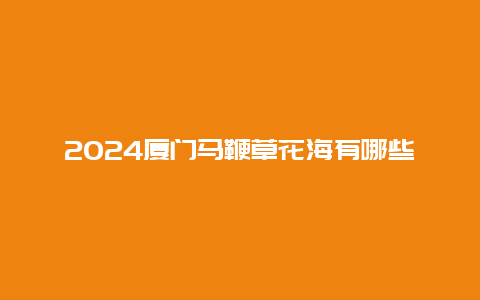 2024厦门马鞭草花海有哪些