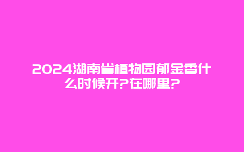 2024湖南省植物园郁金香什么时候开?在哪里?