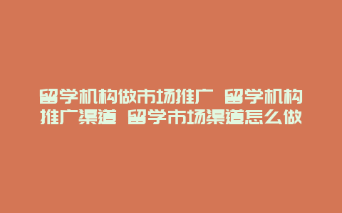 留学机构做市场推广 留学机构推广渠道 留学市场渠道怎么做