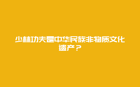 少林功夫是中华民族非物质文化遗产？