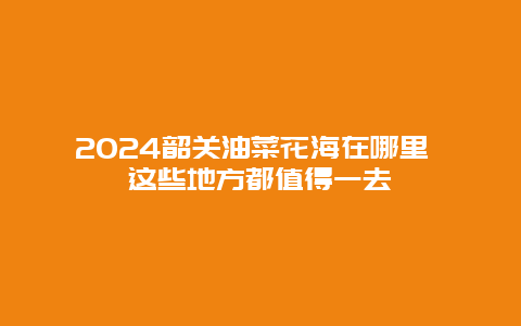 2024韶关油菜花海在哪里 这些地方都值得一去