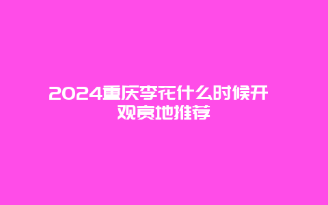 2024重庆李花什么时候开 观赏地推荐