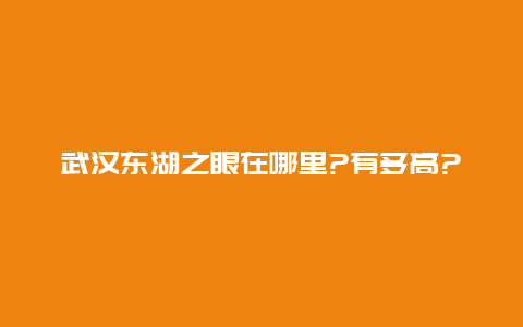 武汉东湖之眼在哪里?有多高?