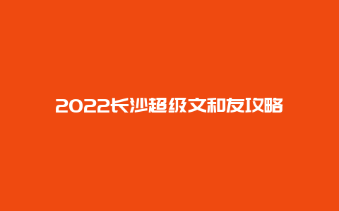 2022长沙超级文和友攻略