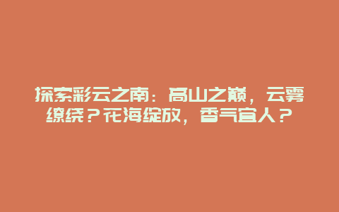 探索彩云之南：高山之巅，云雾缭绕？花海绽放，香气宜人？