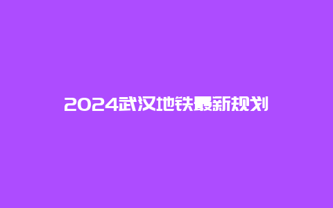 2024武汉地铁最新规划