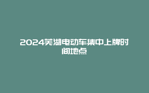 2024芜湖电动车集中上牌时间地点