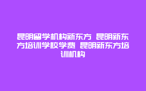 昆明留学机构新东方 昆明新东方培训学校学费 昆明新东方培训机构