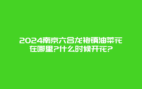 2024南京六合龙袍镇油菜花在哪里?什么时候开花?