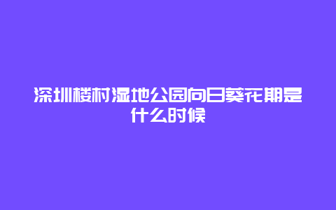 深圳楼村湿地公园向日葵花期是什么时候