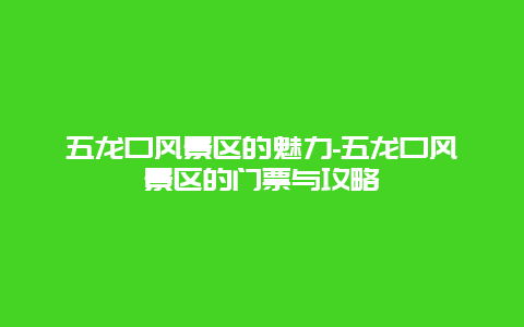 五龙口风景区的魅力-五龙口风景区的门票与攻略