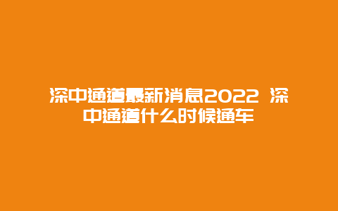 深中通道最新消息2022 深中通道什么时候通车