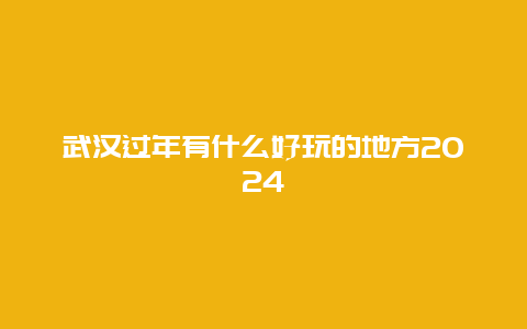 武汉过年有什么好玩的地方2024