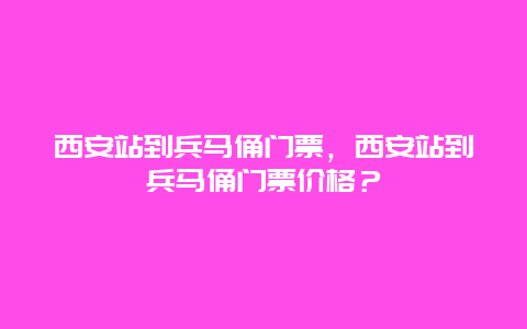 西安站到兵马俑门票，西安站到兵马俑门票价格？