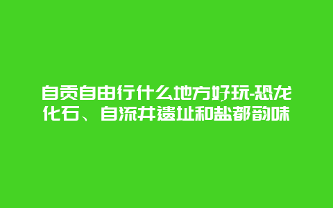 自贡自由行什么地方好玩-恐龙化石、自流井遗址和盐都韵味