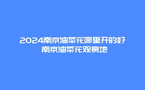 2024南京油菜花哪里开的好 南京油菜花观赏地