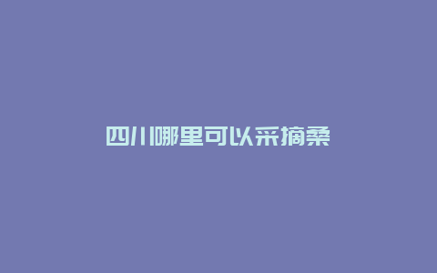 四川哪里可以采摘桑葚