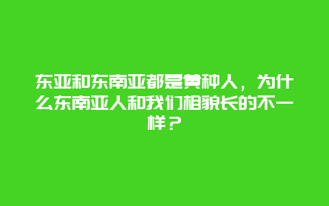 东亚和东南亚都是黄种人，为什么东南亚人和我们相貌长的不一样？