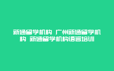 新通留学机构 广州新通留学机构 新通留学机构语言培训