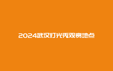 2024武汉灯光秀观赏地点