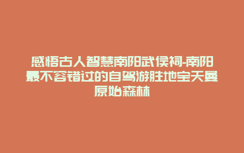 感悟古人智慧南阳武侯祠-南阳最不容错过的自驾游胜地宝天曼原始森林