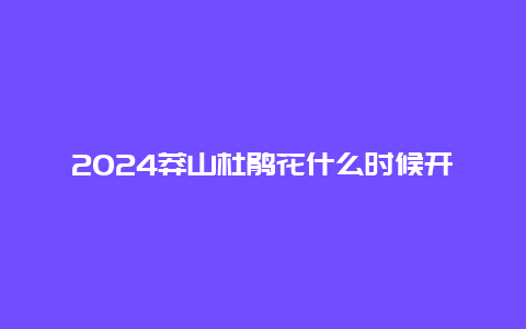 2024莽山杜鹃花什么时候开