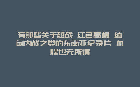 有那些关于越战 红色高棉 缅甸内战之类的东南亚纪录片 血腥也无所谓