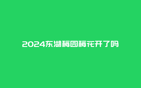 2024东湖梅园梅花开了吗