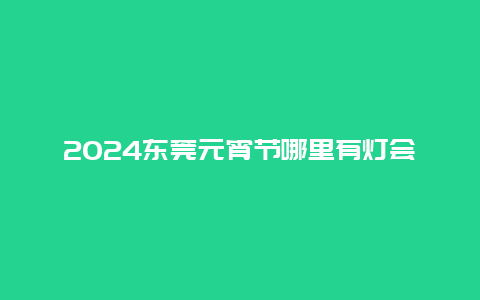 2024东莞元宵节哪里有灯会