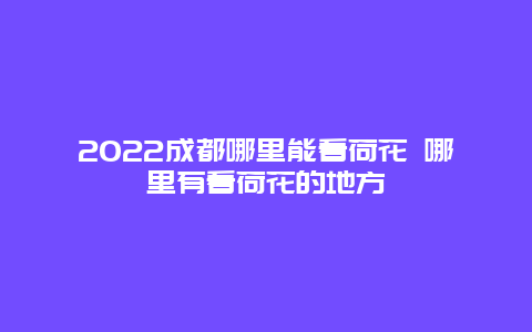 2022成都哪里能看荷花 哪里有看荷花的地方