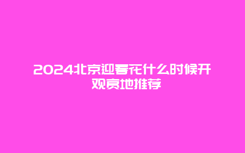 2024北京迎春花什么时候开 观赏地推荐