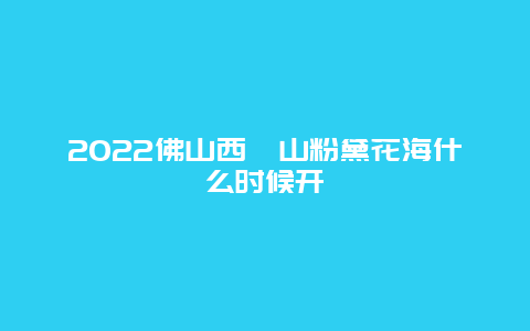 2022佛山西樵山粉黛花海什么时候开