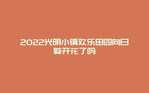 2022光明小镇欢乐田园向日葵开花了吗