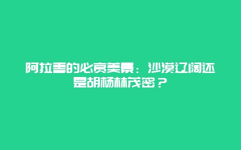 阿拉善的必赏美景：沙漠辽阔还是胡杨林茂密？